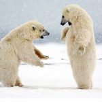 Is Climate Change the Biggest Fraud Pulled on America?